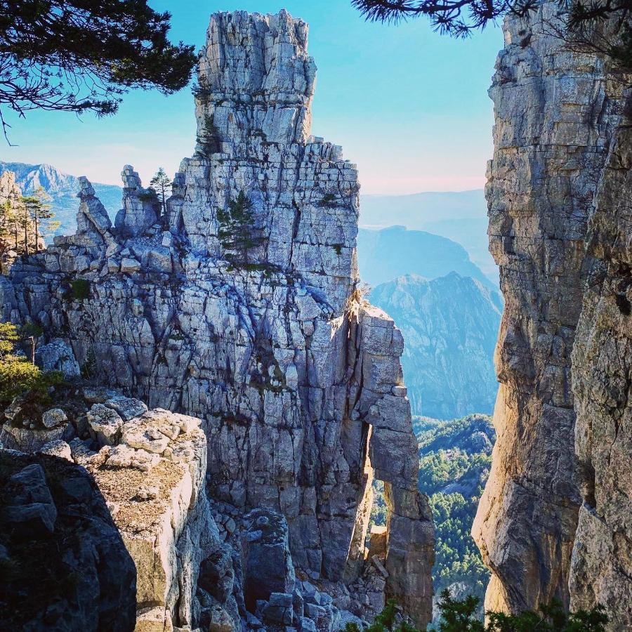 Gite D'Etape Bastide Petra Castellana Verdon كاستيلان المظهر الخارجي الصورة